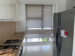 Belmond Green (D10), Condominium #504108001